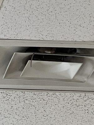 Mouse in the air vent