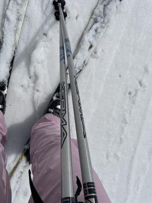 Poles and skis!