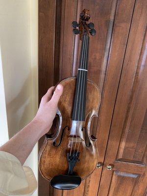 Violin