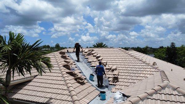 D'Agostino Roofing