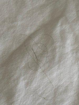 Hair in bed room 111