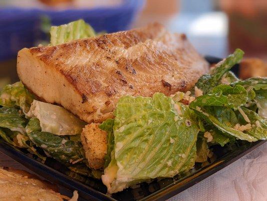 This was a mahi-mahi on Caesar salad