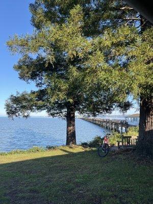 Long pier over the bay. You don't fish. No problem. Have a picnic out at the end at the square at our tables.