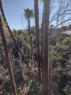 Mesa Verde Park