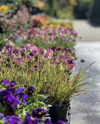 Fall in the Nursery