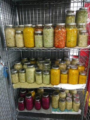 Fermentation Station