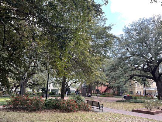 Beautiful Reynold's Square