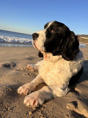 3 weeks after the surgery. Happy beach Boi!