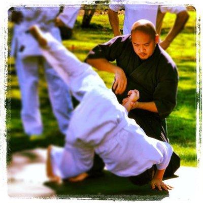 Traditional Japanese Jujutsu