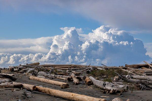 Dungeness Spit Trail