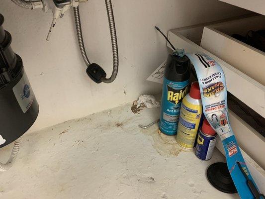 Under kitchen sink