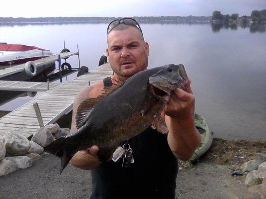 Bin catching A lot of quality smallmouth this yr at walled lake on top water with rebel poppers and yellow  and gold spinbaits