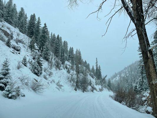 Our Subaru Outback made it through over 12 inches of snow with no problems.