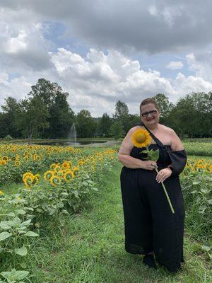 My first sunflower  of many