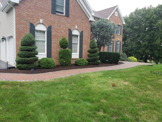 Landscaping Contractor