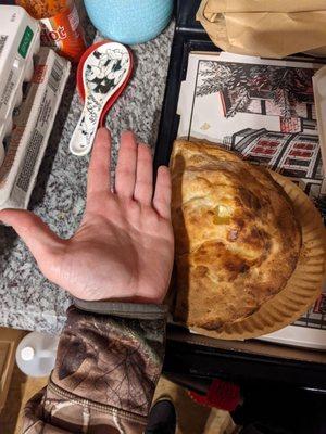 13 dollar calzone not much bigger than my hand.