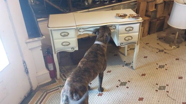 Cash ' s pick of the week ! Vintage French Provincial style Vanity. Excellent condition $115.00