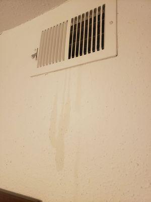 Water coming from Air vents