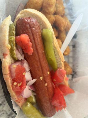 Chicago Style Dog