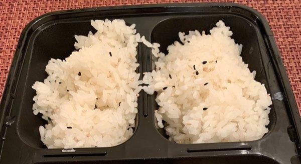 Large portion of rice in the chicken teriyaki