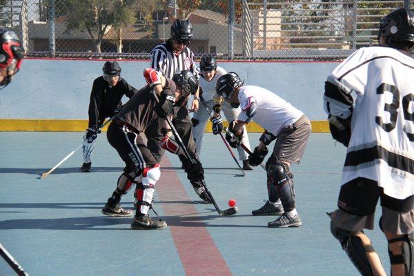 Adult Ball Hockey - THE CAGE Ball Hockey Leagues