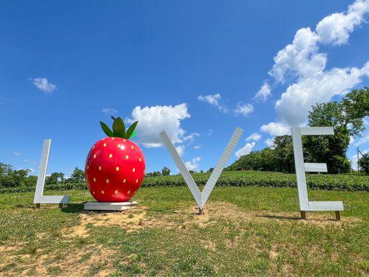 LOVE sign, strawberry style!