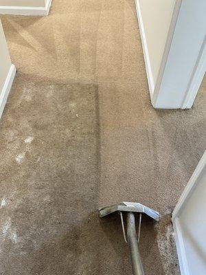 Carpet cleaning with truckmount system...