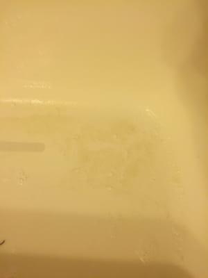 Our super slimy tub which appears to have not been scrubbed in quite a while.