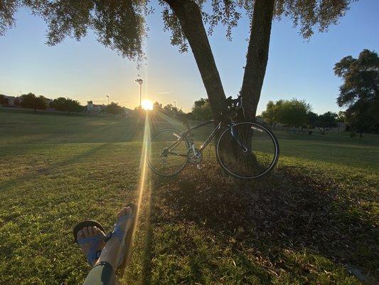 Beautiful day for biking!