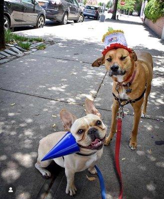 Lucho and Stevie celebrating Stevie's birthday on their walk with YSP