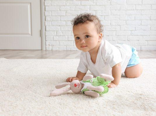 Hypo-Allergenic Carpet Cleaning With No Harsh Chemicals