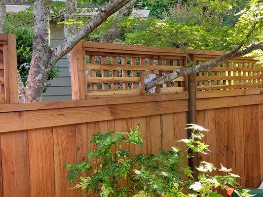 Lattice detail to allow for maple tree branches