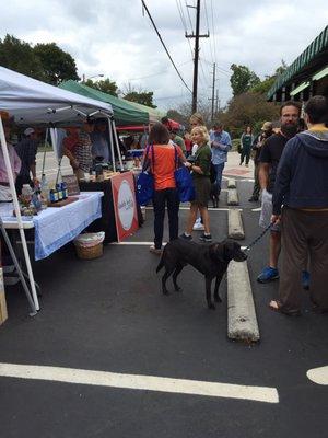 Fall Festival at The Produce Place