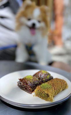 Chocolate Baklava w/ pistachios ($4 each) & Diyarbakir Burma w/ pistachios ($5)