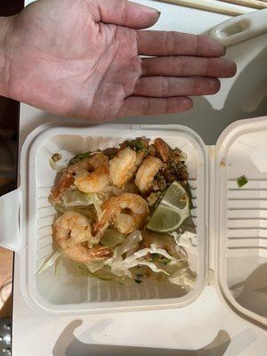 This has got to be the worse garlic shrimp I've ever had.