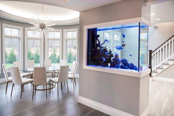 This  magnificent Kitchen Aquarium is a show stopper. Loaded with the most awesome saltwater fish and corals. By Aqua Creations Of NJ