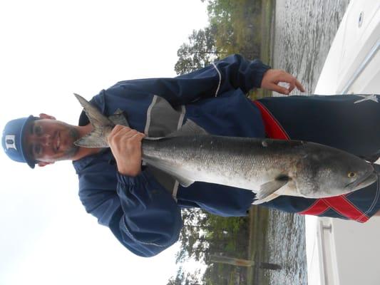 Monster Chopper Spring Bluefish