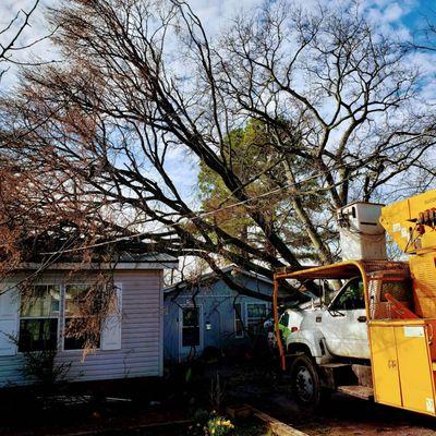 Love it Landscaping and Tree