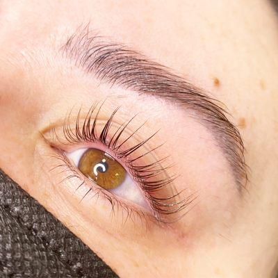 Lash profusion lift with styling