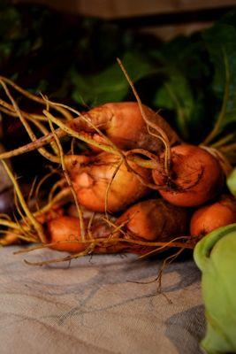 Warfleigh Cottage Gardens Beets