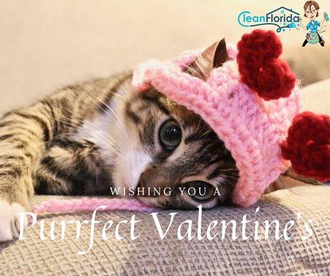 Grab a Valentines Cleaning Gift Card today For Purrfect gift