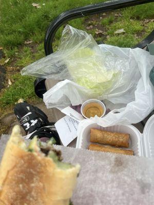 Summer Rolls and Sauce with extra lettuce and cilantro