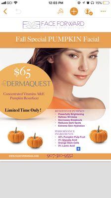 Face Forward seasonal facial packed with Vitamins and pumpkin!