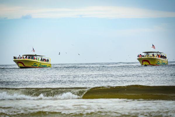 Twins! Sea Screamer 1 and Sea Screamer 2 are ready to take you on a cruise to see the Dolphins.