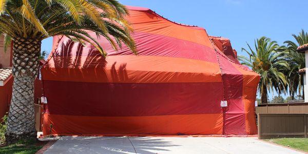 Fumigation services Los Angeles.  Schedule a pest control inspection with a local exterminator