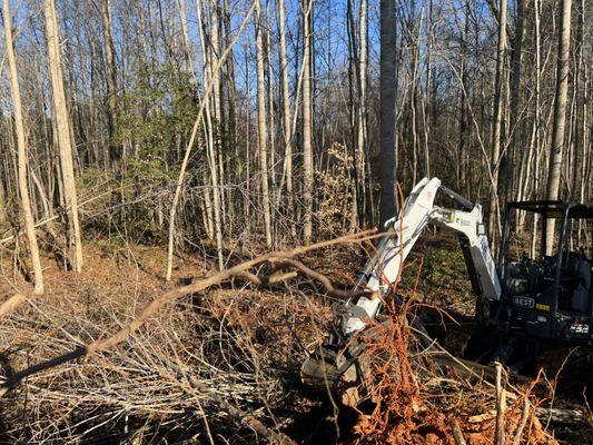 Wintergreen Landscaping