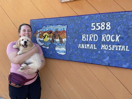 First visit to Bird Rock Animal Hospital.