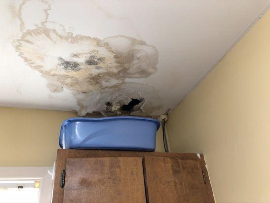 Black mold hole in the ceiling