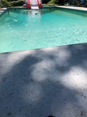 My pool is super clear and crisp clean perfecto