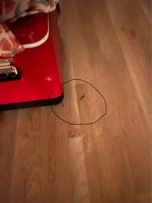 Kitchen floor